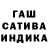 Канабис OG Kush Fedya Toporchik