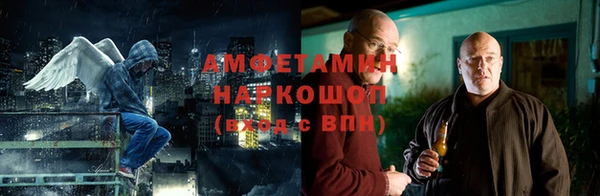 ПСИЛОЦИБИНОВЫЕ ГРИБЫ Гусев