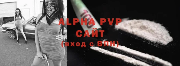 ПСИЛОЦИБИНОВЫЕ ГРИБЫ Гусев