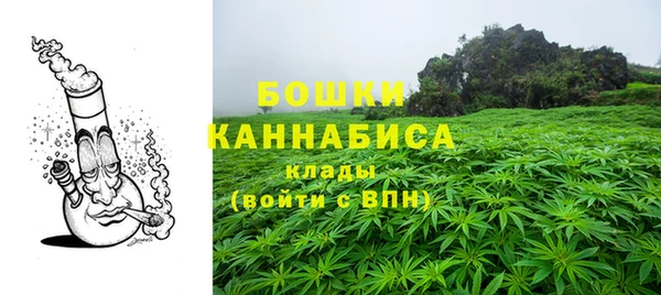 винт Дмитриев