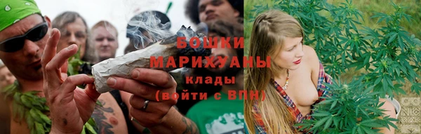 ПСИЛОЦИБИНОВЫЕ ГРИБЫ Гусев