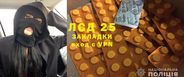 ПСИЛОЦИБИНОВЫЕ ГРИБЫ Гусев
