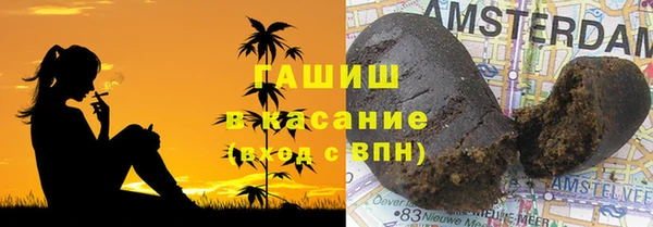 ПСИЛОЦИБИНОВЫЕ ГРИБЫ Гусев
