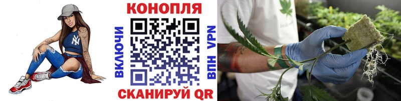 Купить где  Камень-на-Оби  Канабис LSD WEED 